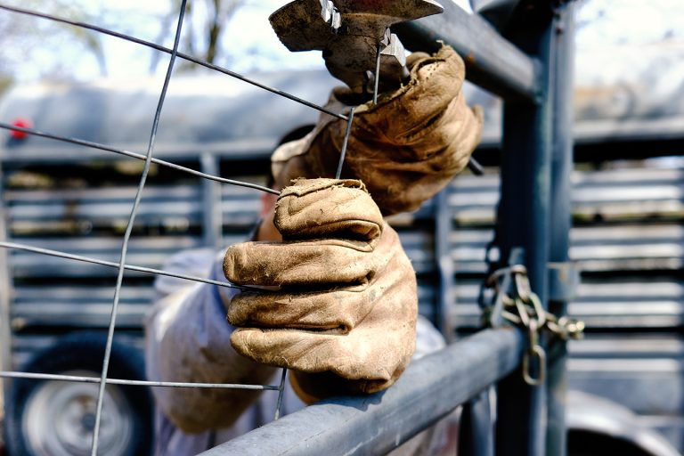 man,fencing,with,rugged,work,gloves,closeup,,shows,labor,on